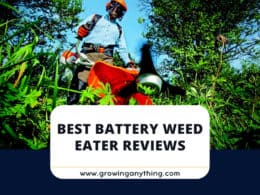Best Battery Weed Eaters