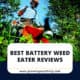 Best Battery Weed Eaters