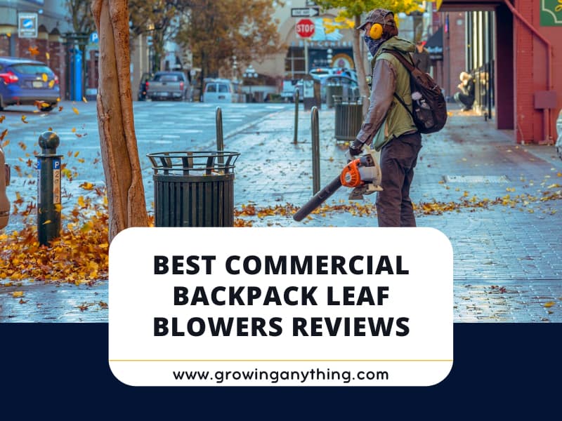 Top 15 Best Commercial Backpack Leaf Blowers Reviews 2024