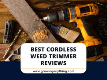 Best Cordless Weed Trimmers