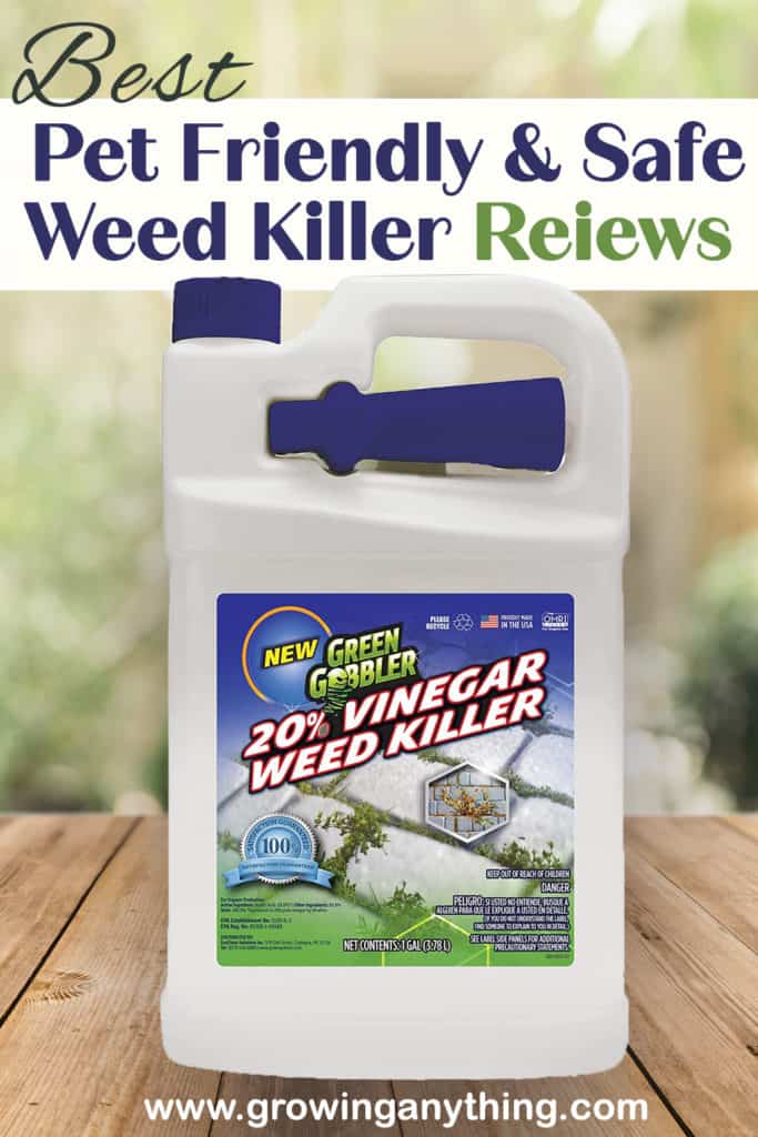 Best Pet Friendly Safe Weed Killers