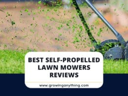 Best Self Propelled Lawn Mowers