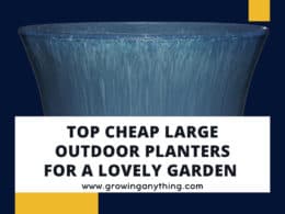 Cheap Large Outdoor Planters