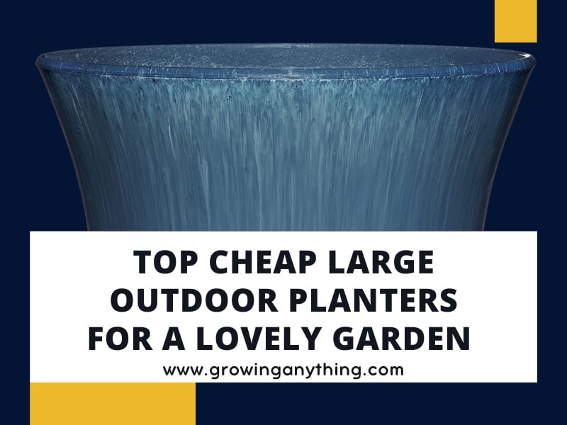 Top 15 Cheap Large Outdoor Planters Reviews 2024