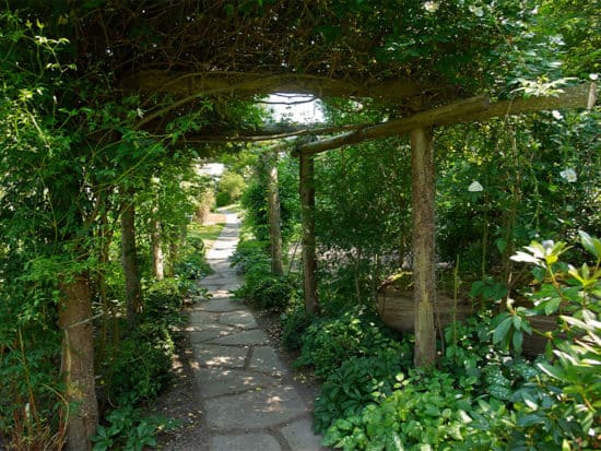 A Shady Garden Filled With All Types of Plants and Trees