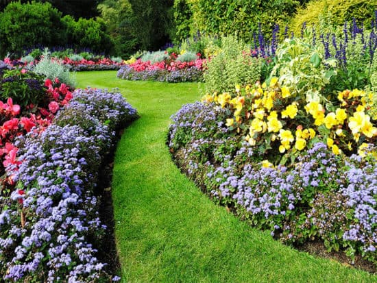 Colorful flower bed