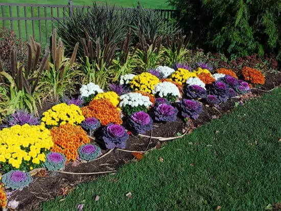 Fun flower bed design