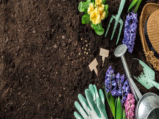 Gardening tools hyacinth flowers watering