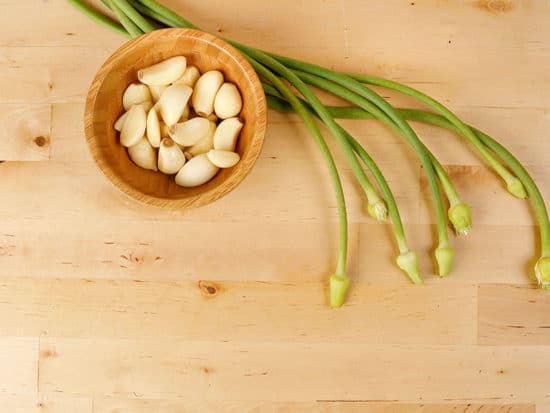 Garlic Harvest