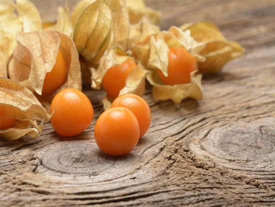 Ground cherries are easy to clean from their husks