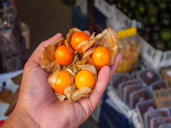 Harvest when the husk opens