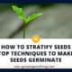 How To Stratify Seeds