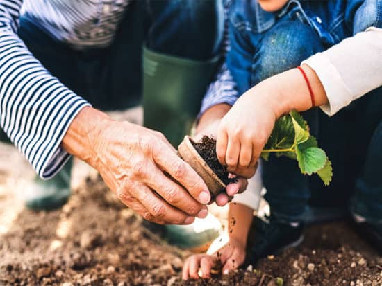 Man grandaughter gardening backyard garden