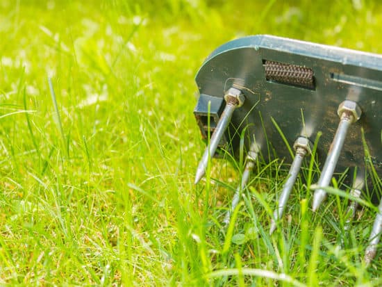 Shoes spikes saturate air lawn soil