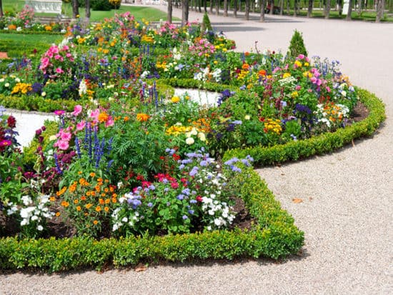 Star shaped flower bed