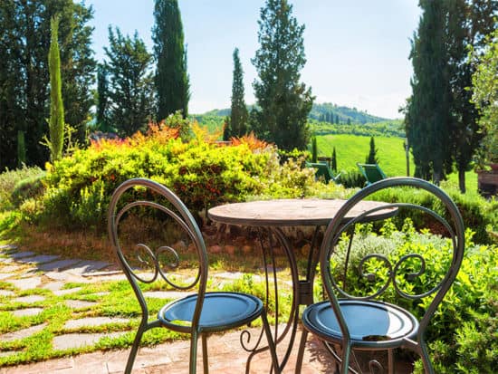 Tall italian cypress makes a charming garden