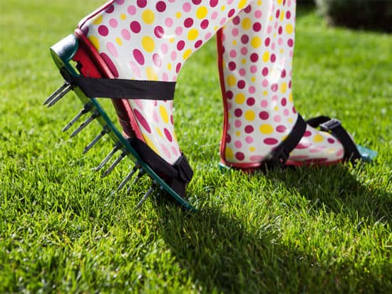 Woman wearing spiked lawn revitalizing aerating