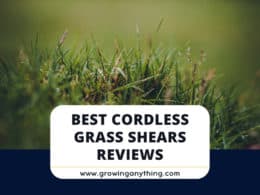 Best Cordless Grass Shears
