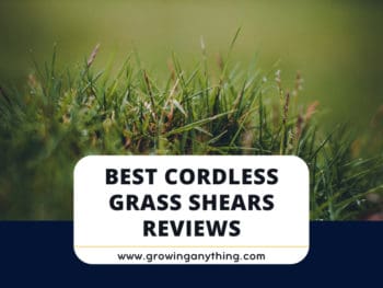 Best Cordless Grass Shears