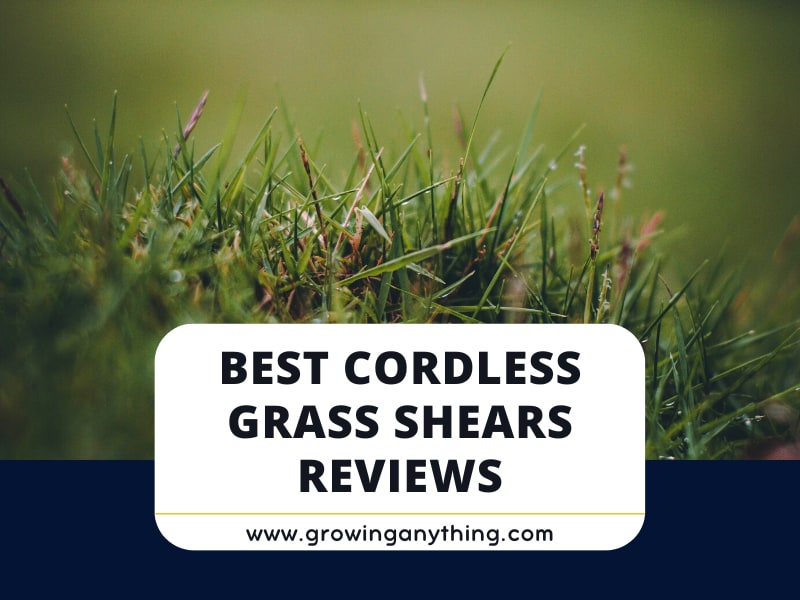 Top 15 Best Cordless Grass Shears Reviews 2024