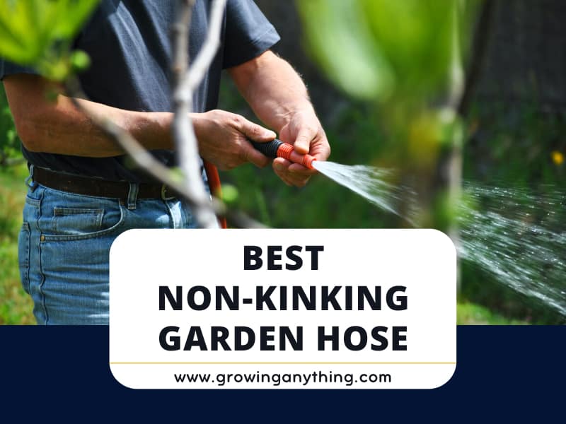 Top 15 Best NonKinking Garden Hose Reviews 2024