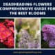 Deadheading Flowers