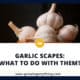 Garlic Scapes