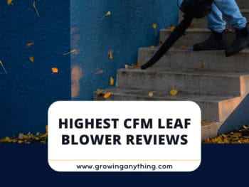 Highest Cfm Leaf Blower