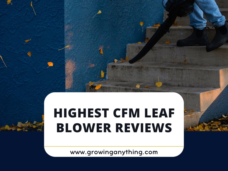 Top 15 Highest CFM Leaf Blower To Buy in 2024