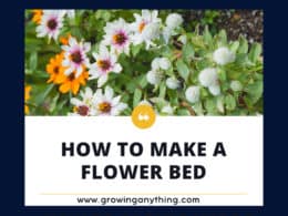 How To Make A Flower Bed