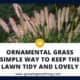 Ornamental Grass