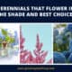 Perennials That Flower