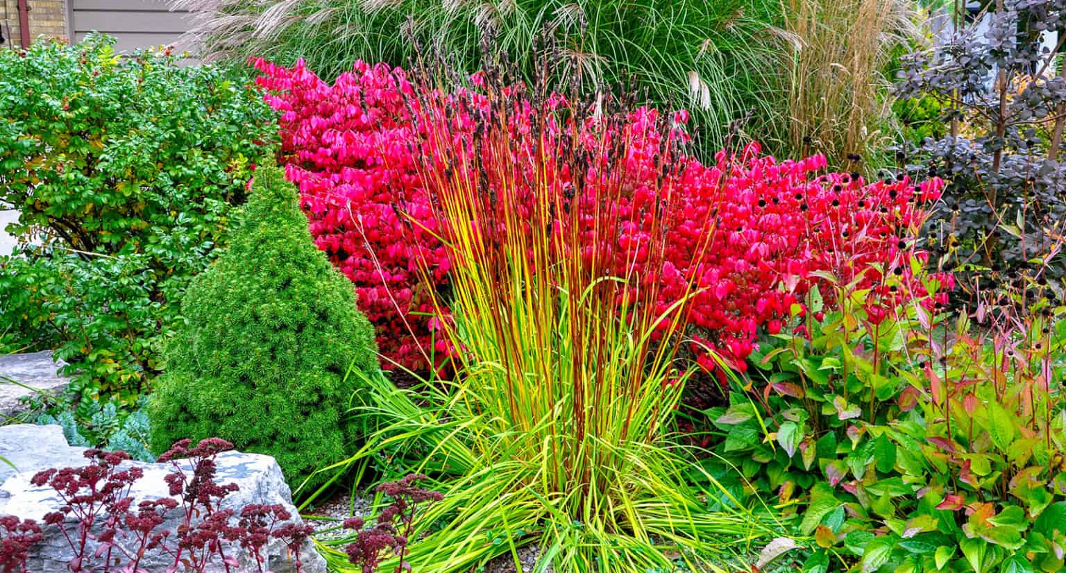 What to Plant in the Fall Complete Guide for Crops, Flowers and Trees