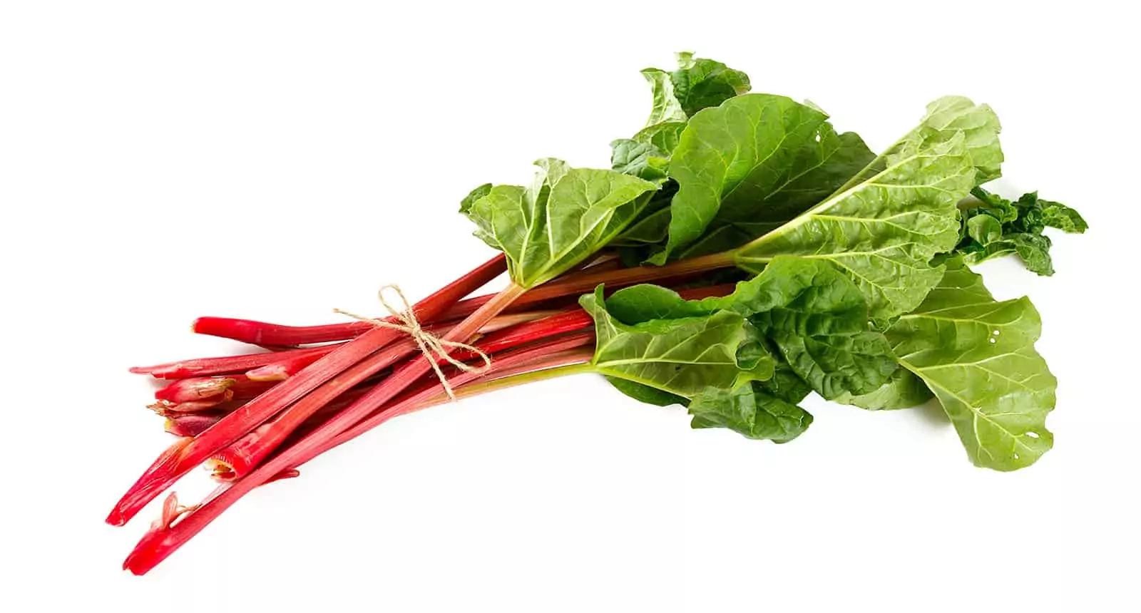 Fresh Rhubarb Isolated