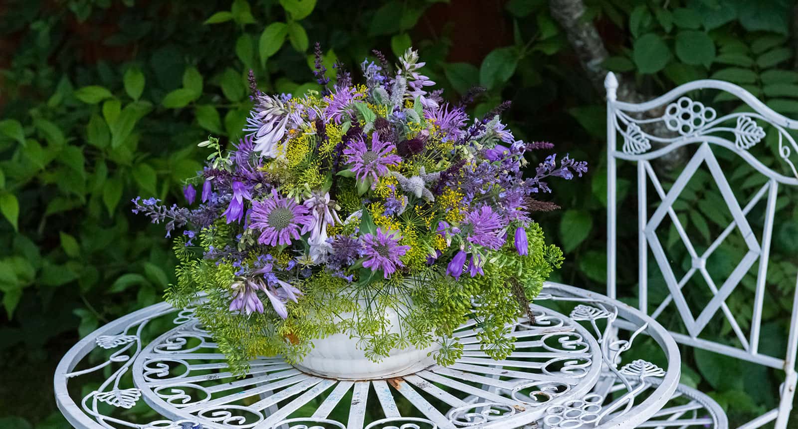 Monarda Dill