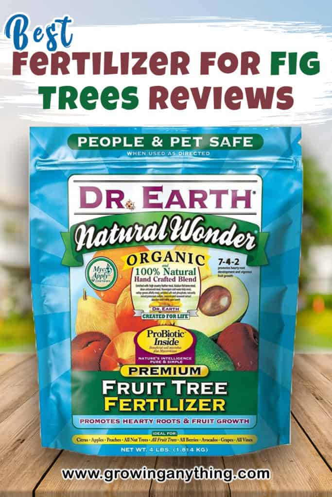 Best Fertilizer For Fig Trees