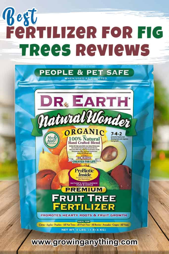 Best Fertilizer For Fig Trees