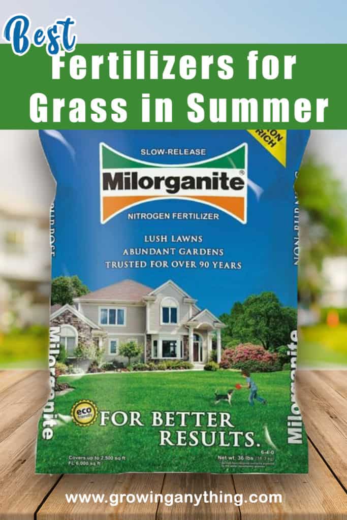 Best Fertilizers For Grass In Summer