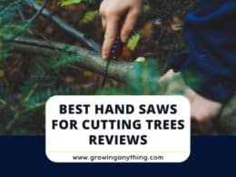Best Hand Saws For Cutting Trees