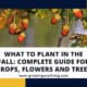 What To Plant In The Fall