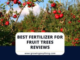 Best Fertilizer For Fruit Trees