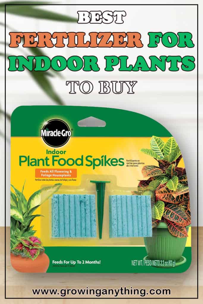 Best Fertilizer For Indoor Plants