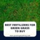 Best Fertilizers For Green Grass