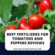 Best Fertilizers For Tomatoes And Peppers