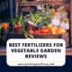 Best Fertilizers For Vegetable Garden