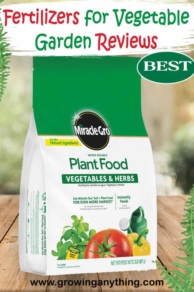 Best Fertilizers For Vegetable Garden