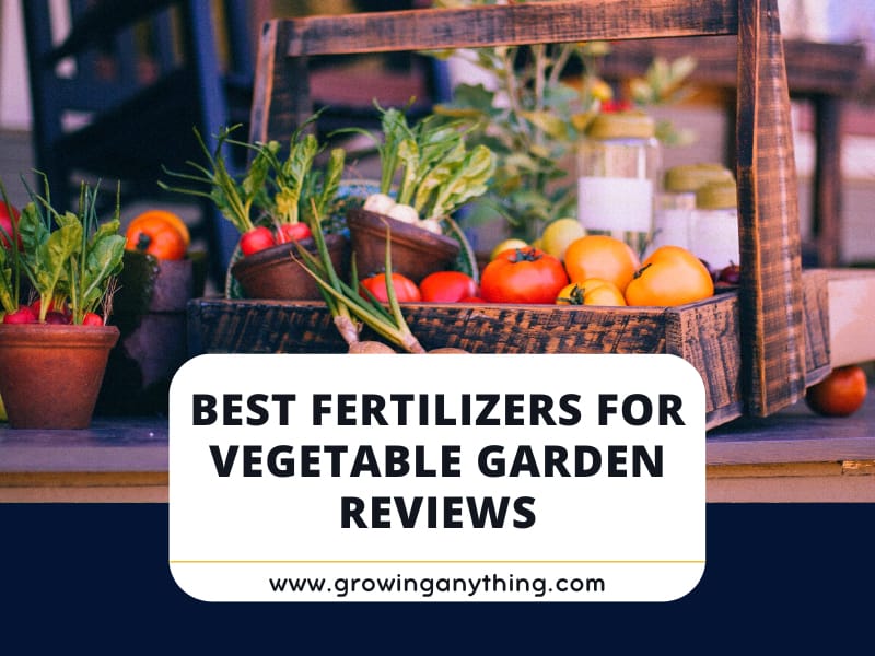 Top 15 Best Fertilizers for Vegetable Garden Reviews 2024