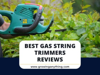 Best Gas String Trimmers