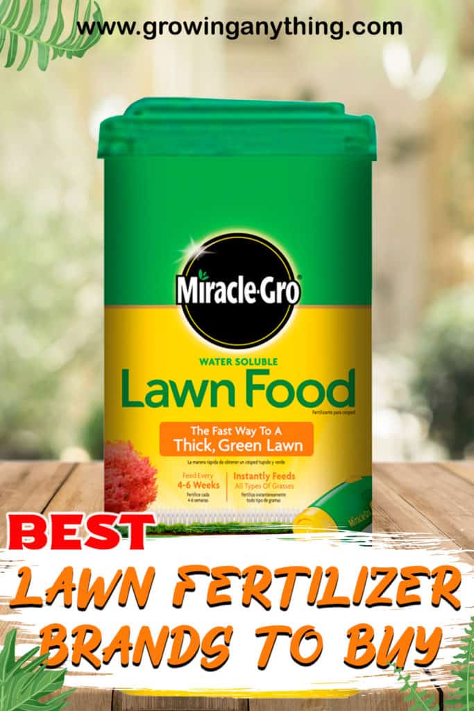 Best Lawn Fertilizer Brands