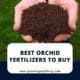 Best Orchid Fertilizers